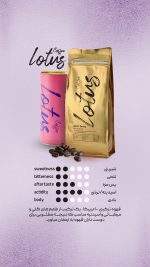 قهوه 100 عربیکا