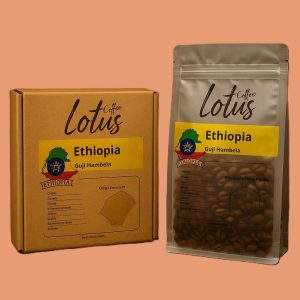اتیوپی گوجی هامبلا